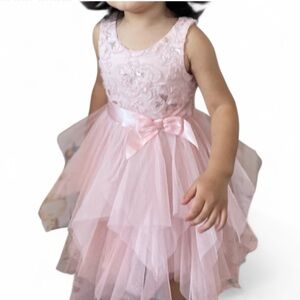 Zunie Pink Floral Lace Dress